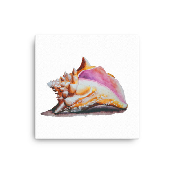 Conch Watercolor Canvas - Image 6