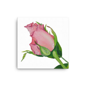 Rose Watercolor Canvas