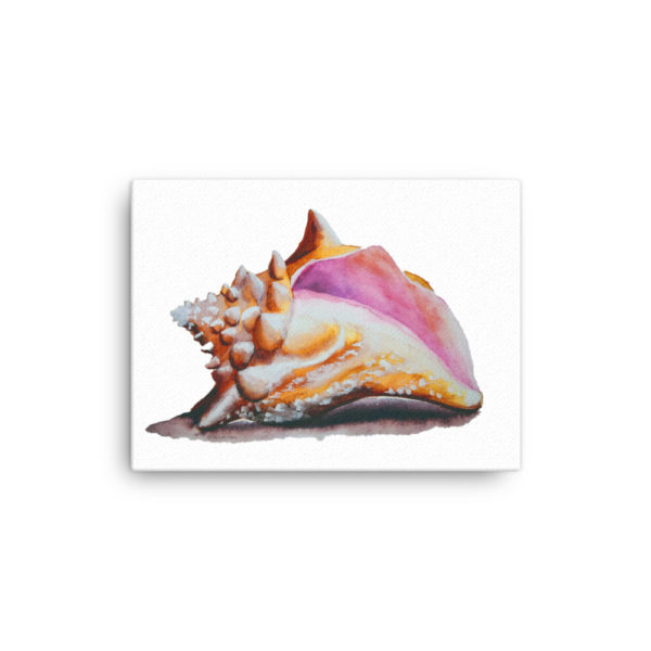 Conch Watercolor Canvas - Image 7