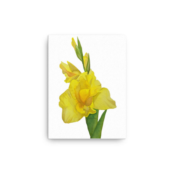 Gladiolus Watercolor Canvas - Image 6