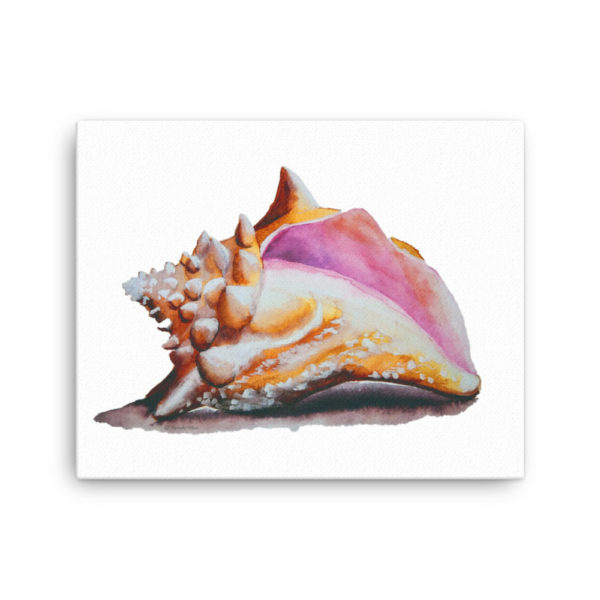 Conch Watercolor Canvas - Image 4