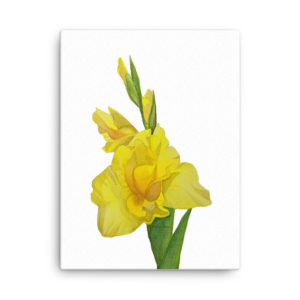 Gladiolus Watercolor Canvas