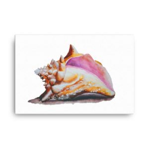 Conch Watercolor Canvas