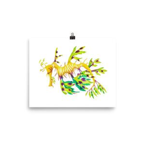 Leafy Sea Dragon
